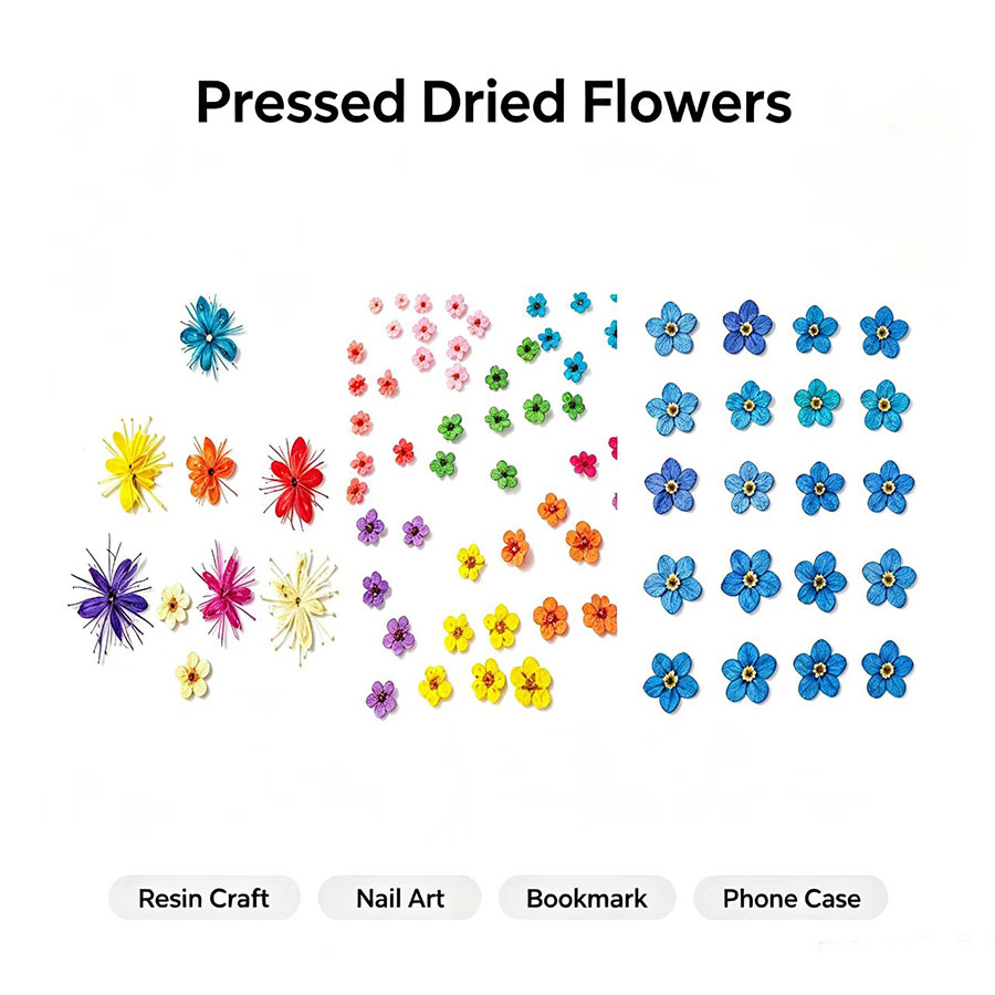 60pcs Mini Pressed Dried Flowe - Resin Art Case ulasan dan harga